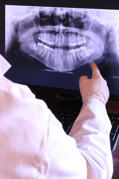 Best Emergency X-Rays and Diagnostics in Brooklyn, WI